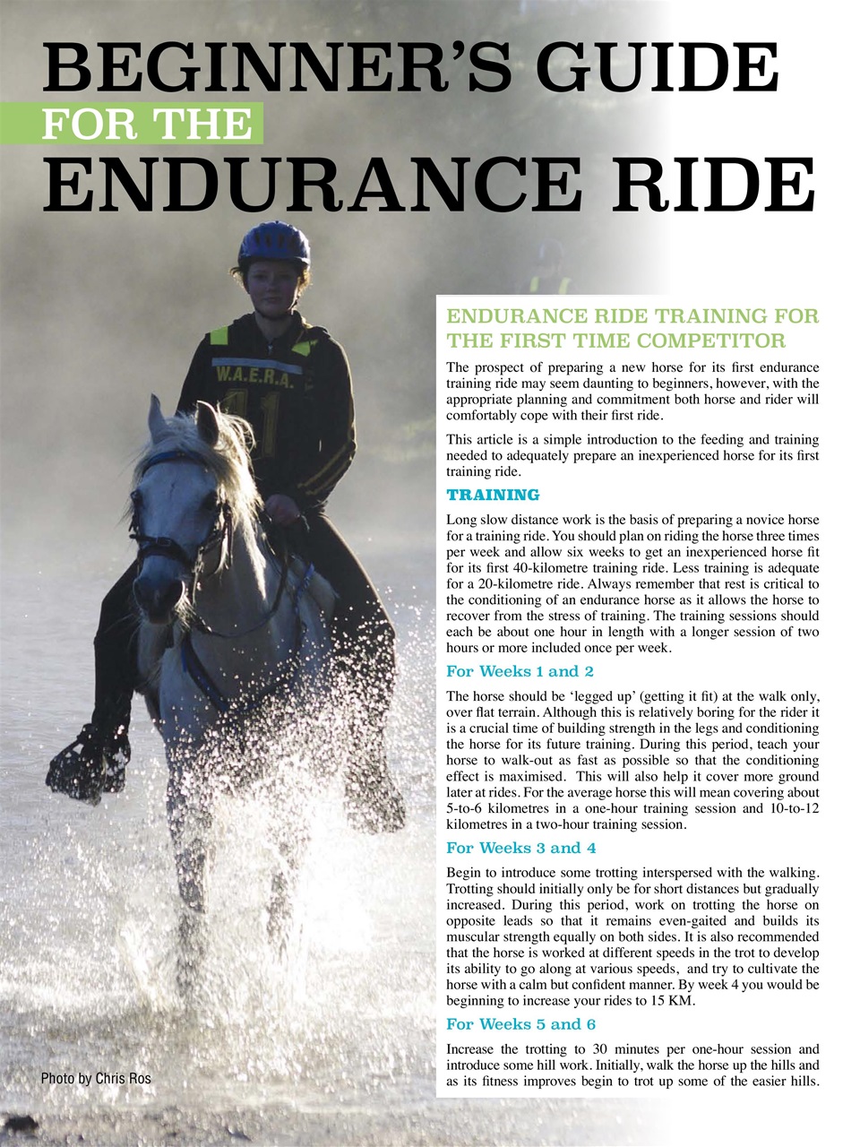 Hoofbeats Preview Pages