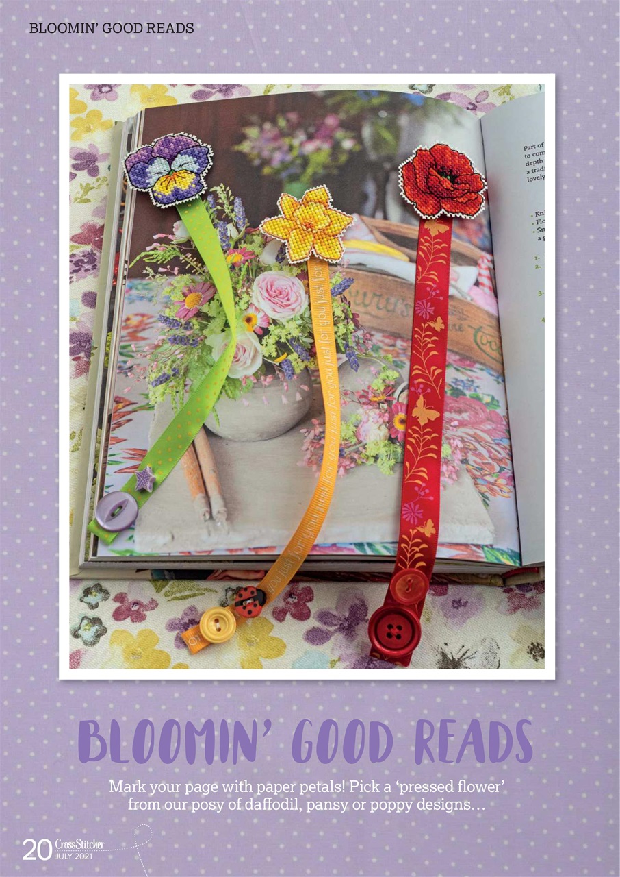 CrossStitcher Preview Pages