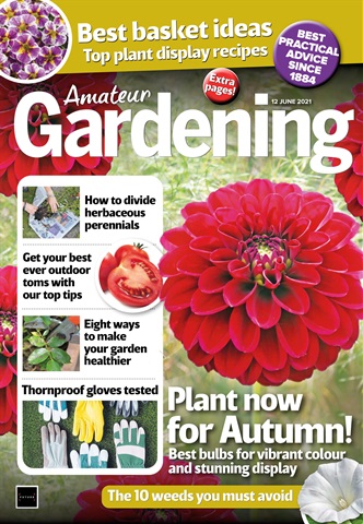 Amateur Gardening issue 12-Jun-2021