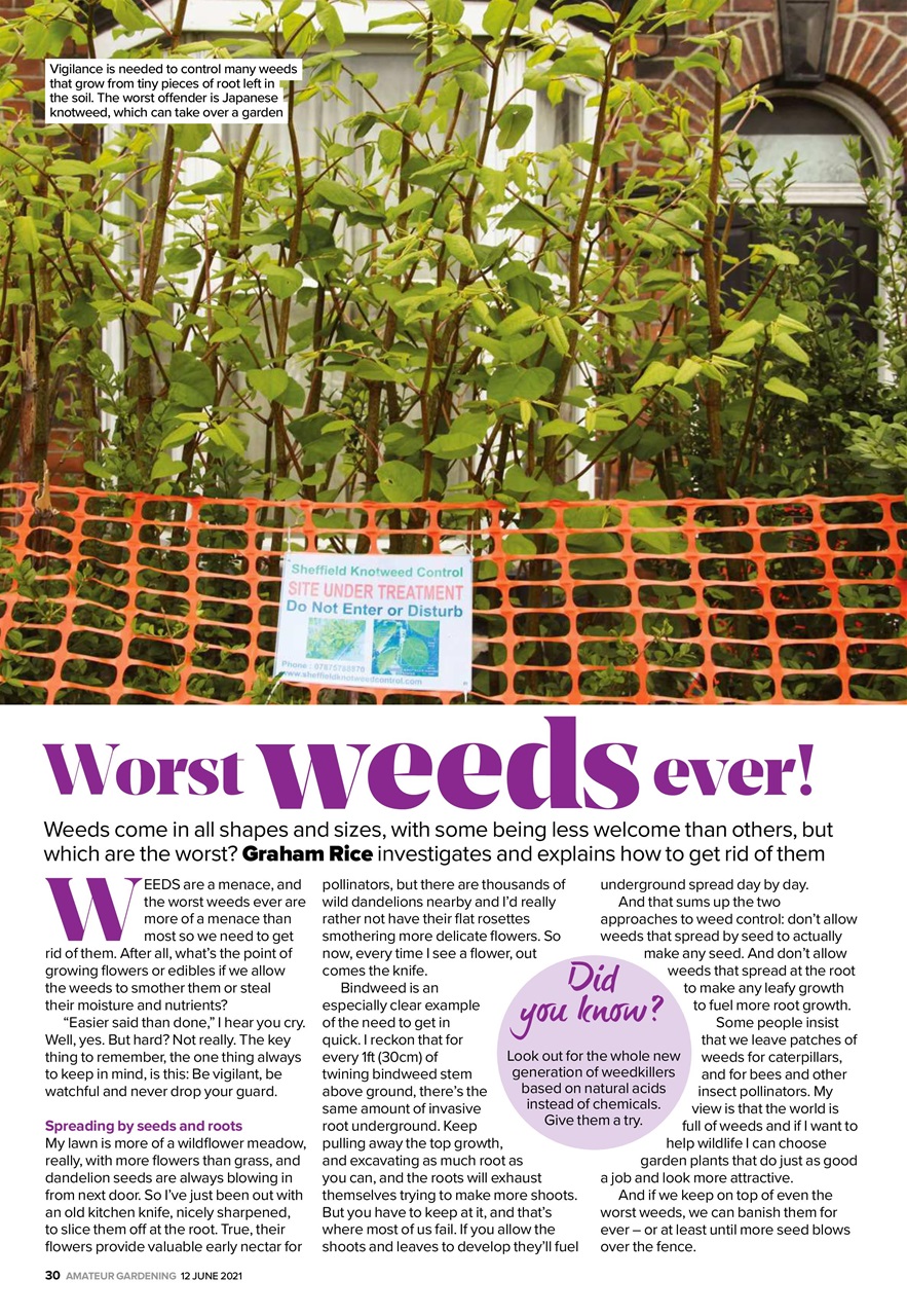 Amateur Gardening Preview Pages