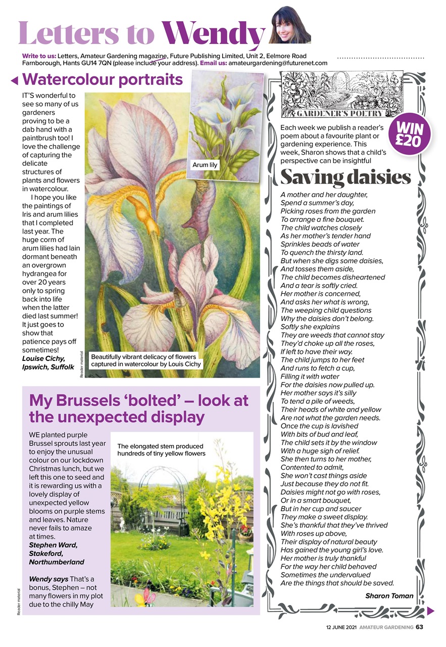 Amateur Gardening Preview Pages