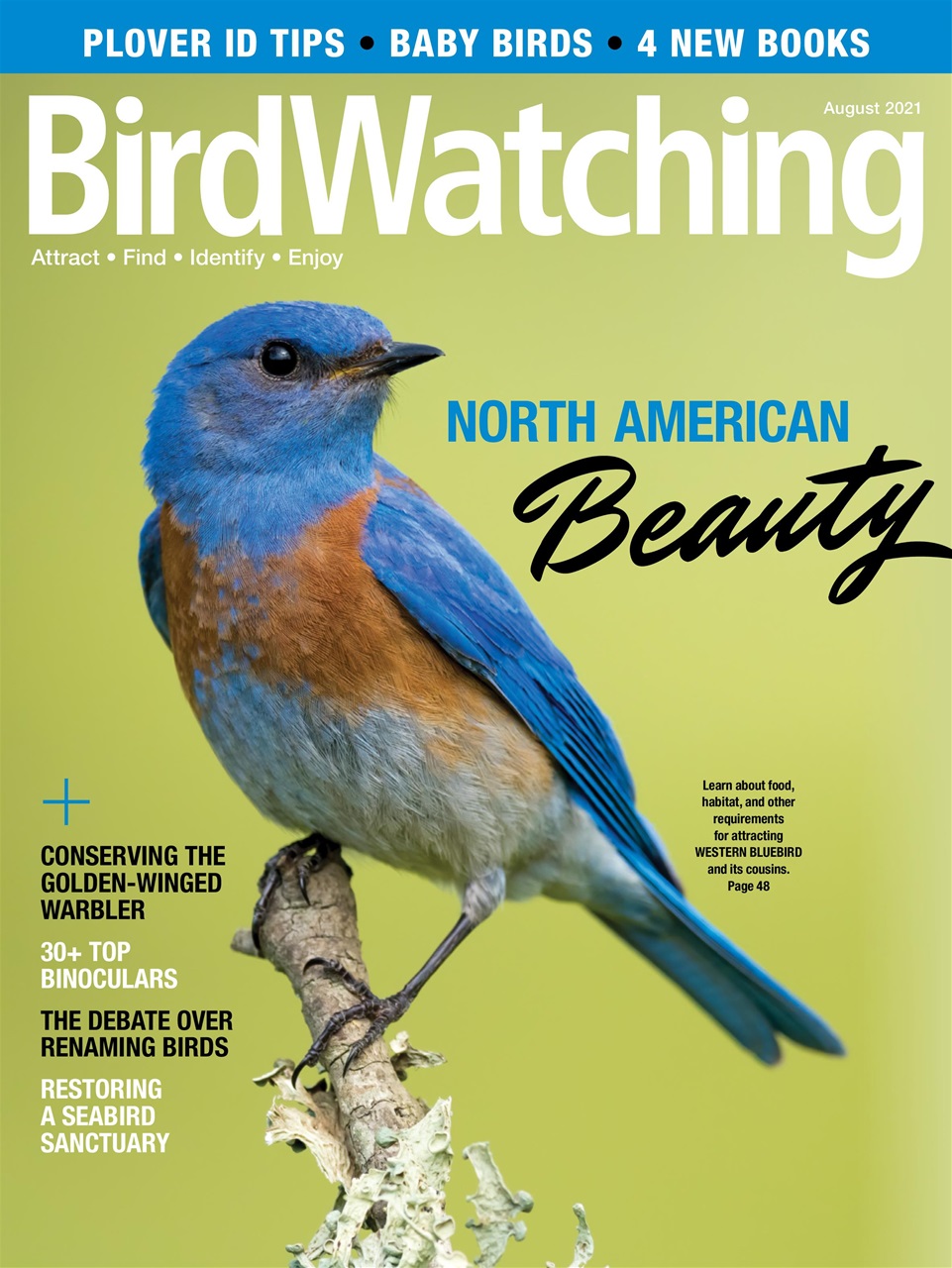 BirdWatching Preview Pages