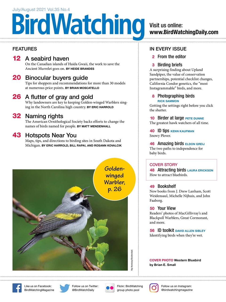 BirdWatching Preview Pages