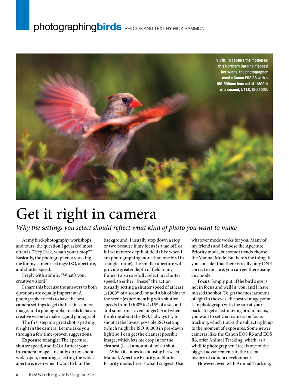 BirdWatching Preview Pages