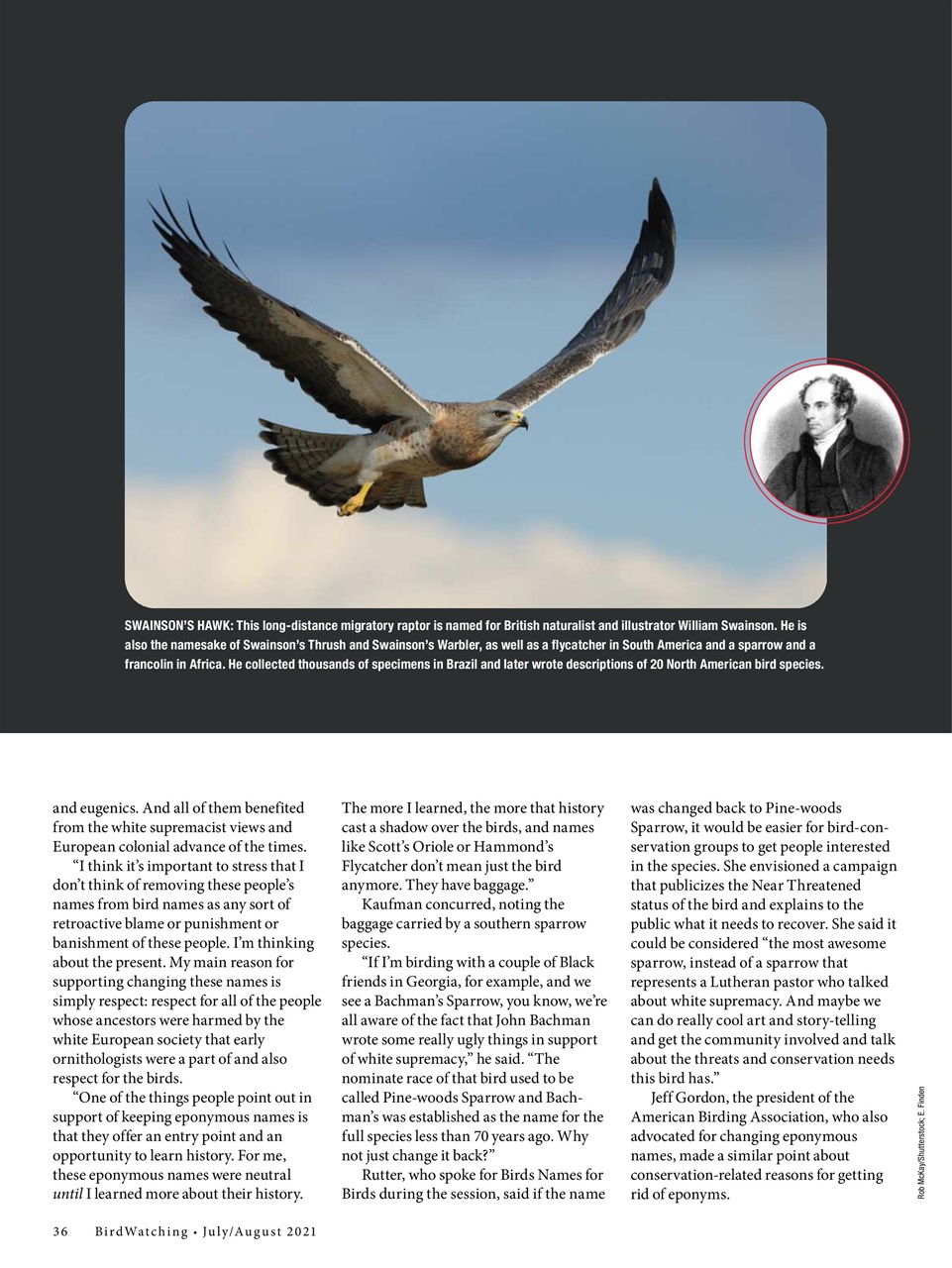 BirdWatching Preview Pages