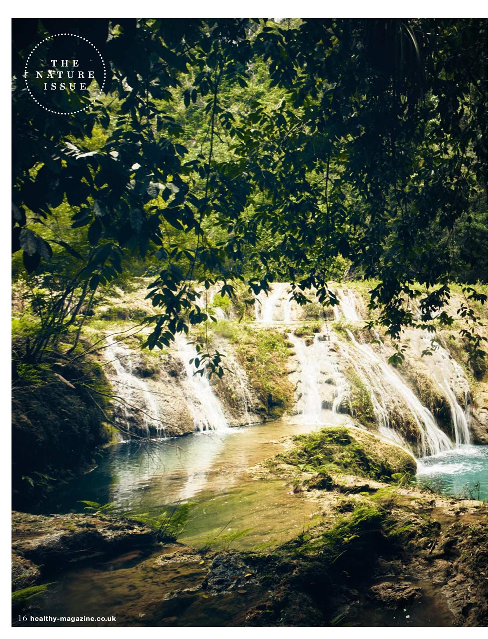 Healthy Magazine Preview Pages