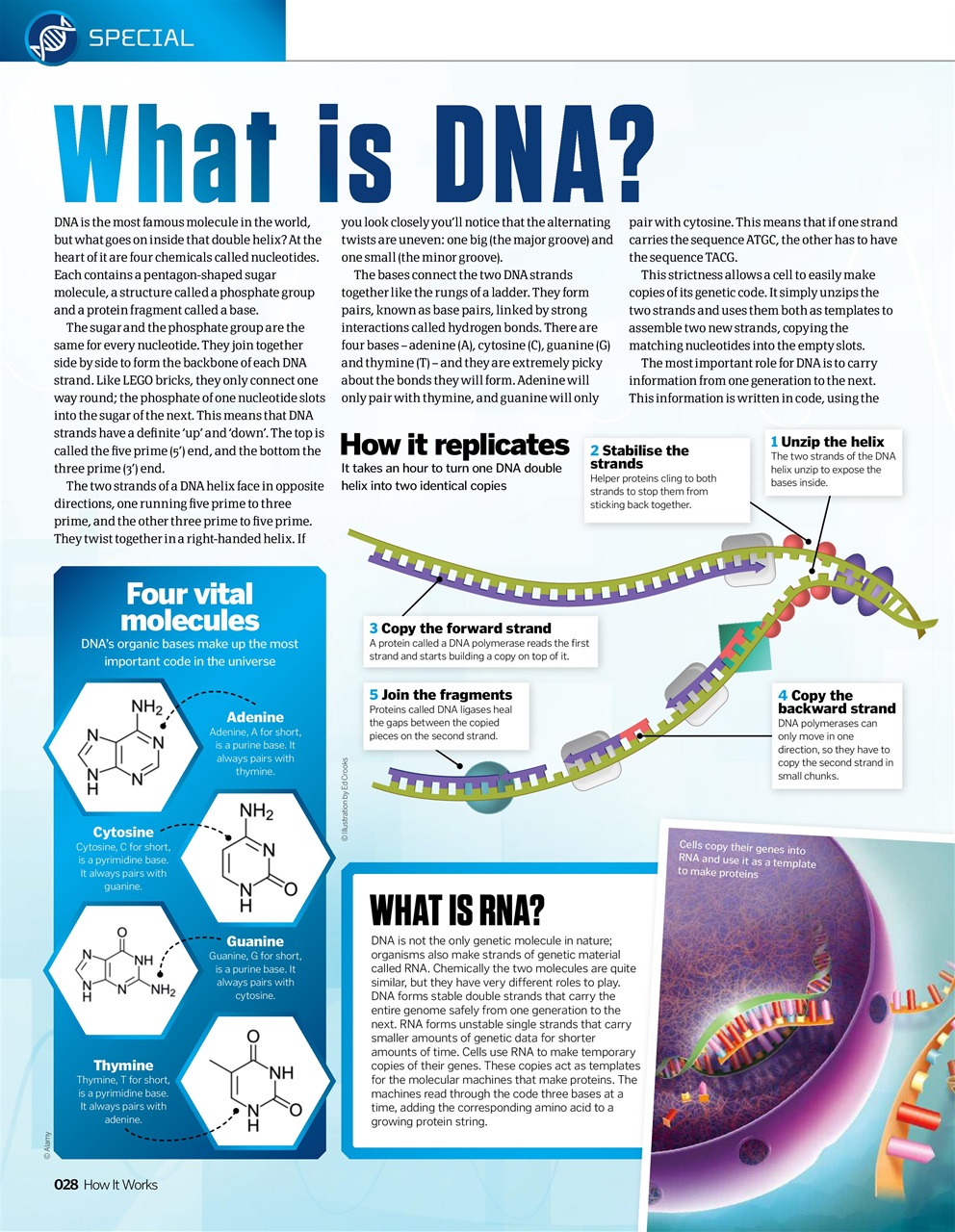 How It Works Preview Pages
