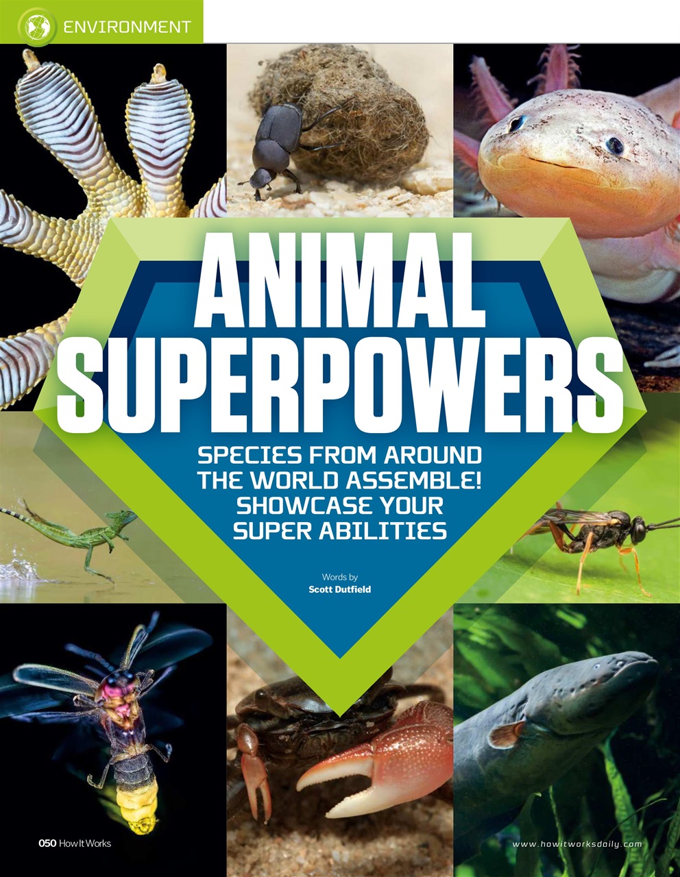 How It Works Preview Pages