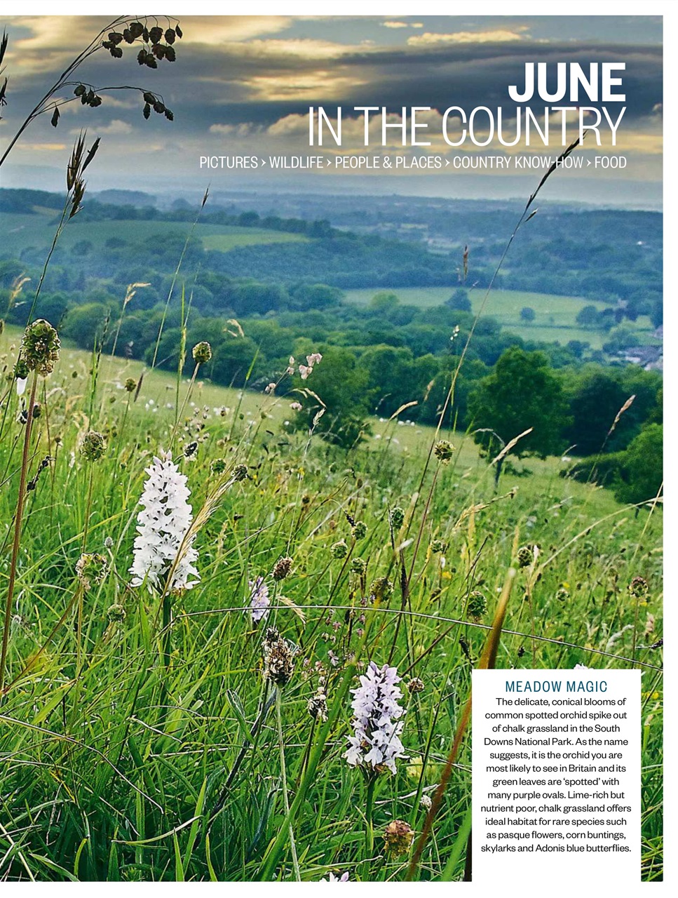 BBC Countryfile Magazine Preview Pages