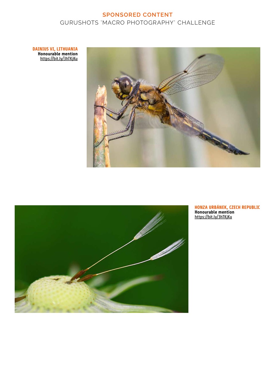 Photography Week Preview Pages