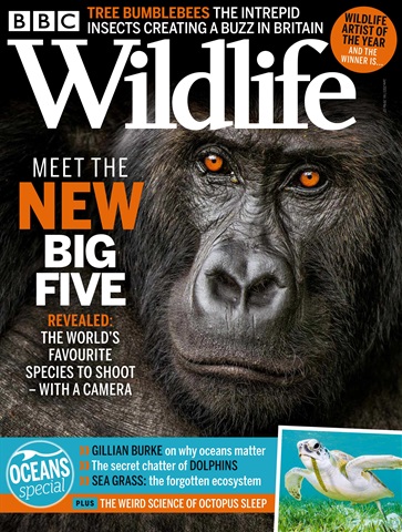BBC Wildlife Magazine issue Jun-21