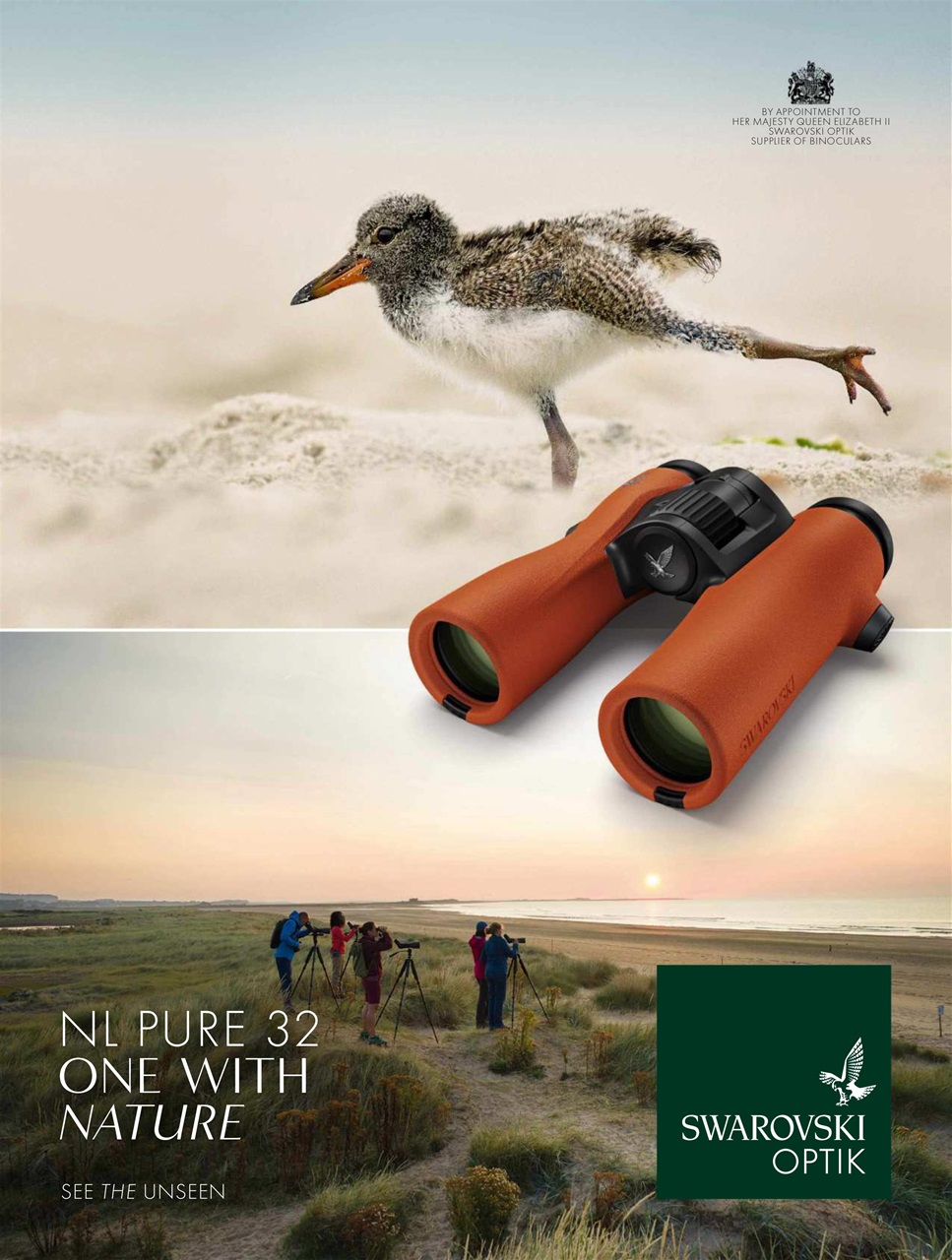 BBC Wildlife Magazine Preview Pages