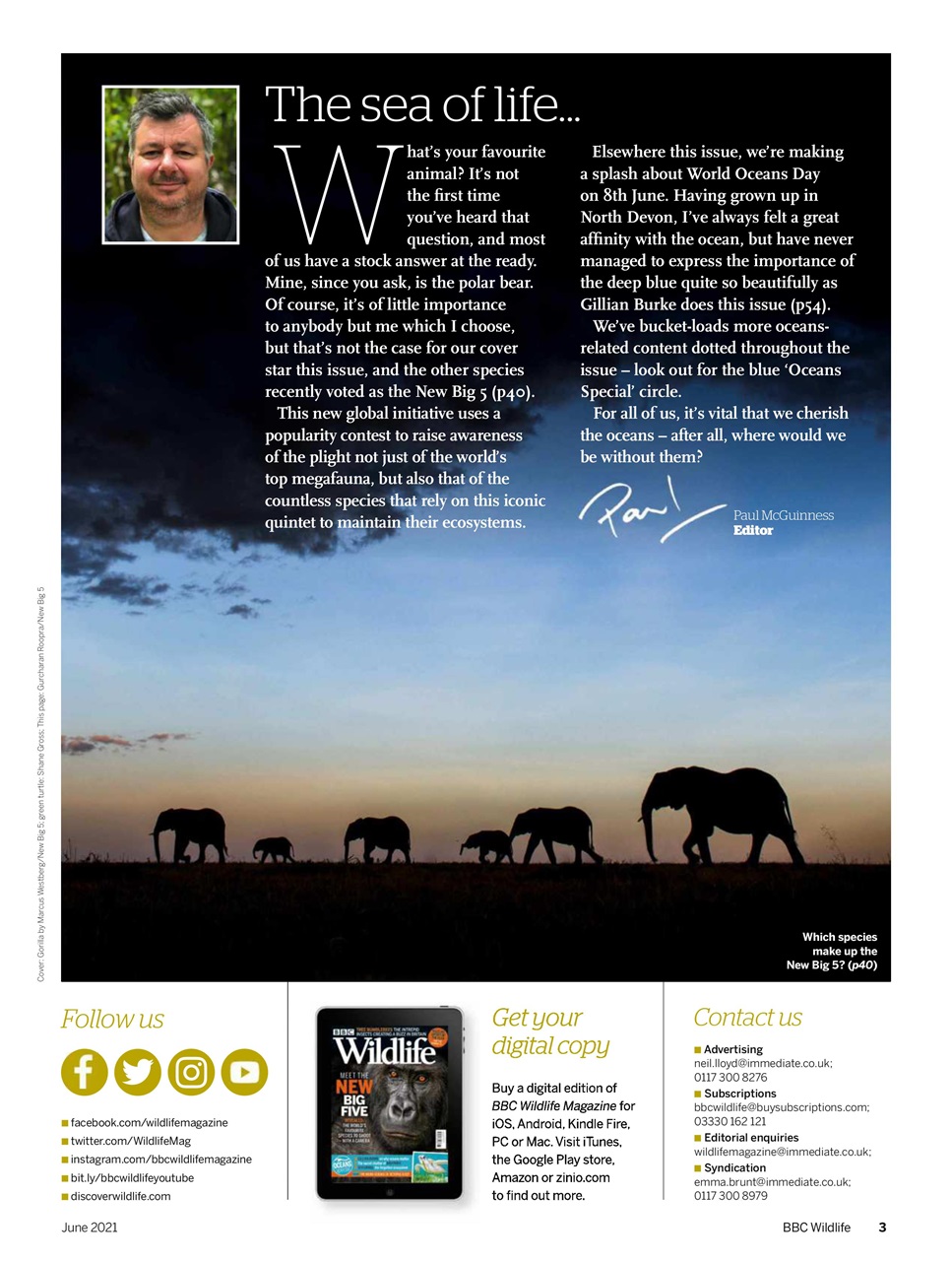 BBC Wildlife Magazine Preview Pages