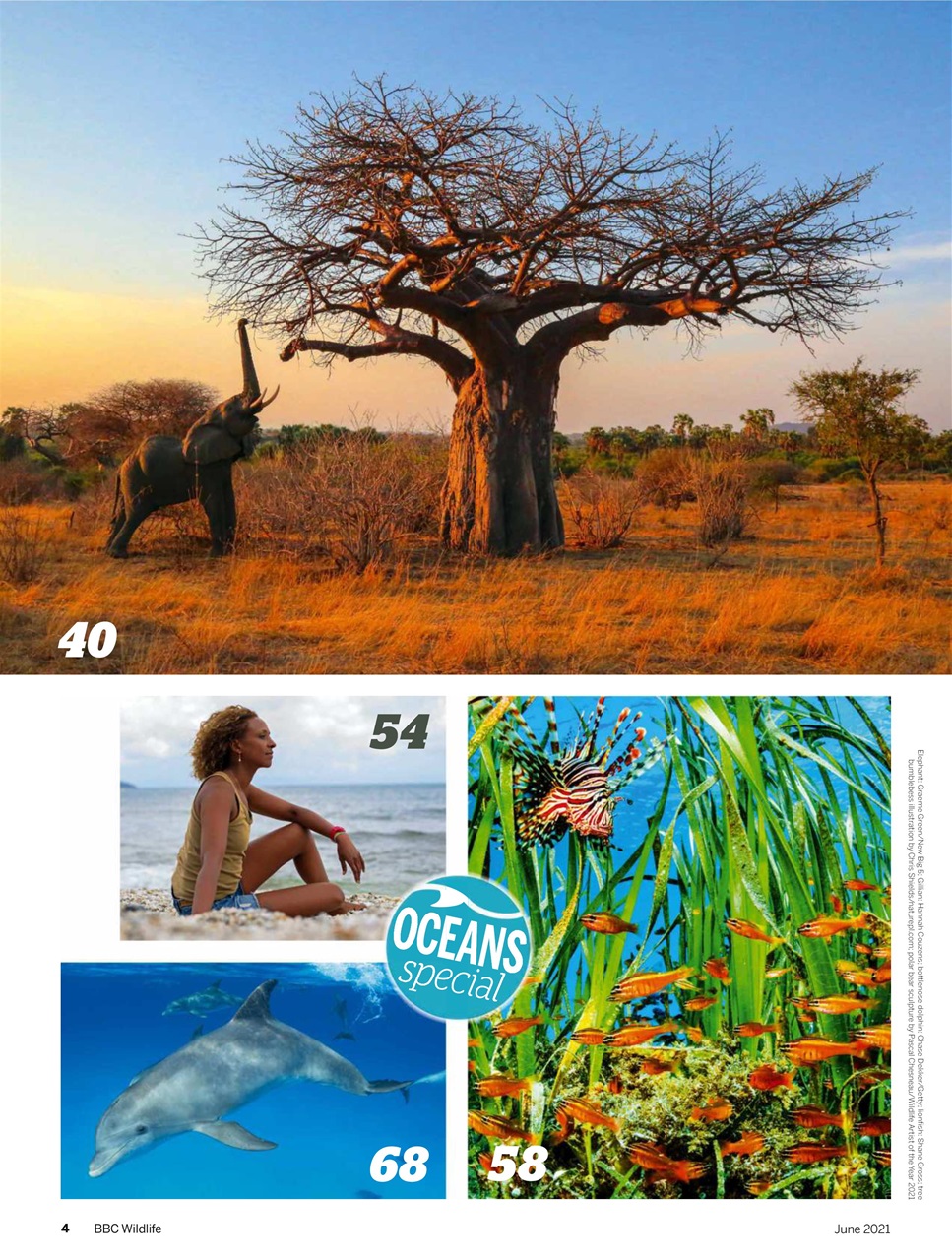 BBC Wildlife Magazine Preview Pages