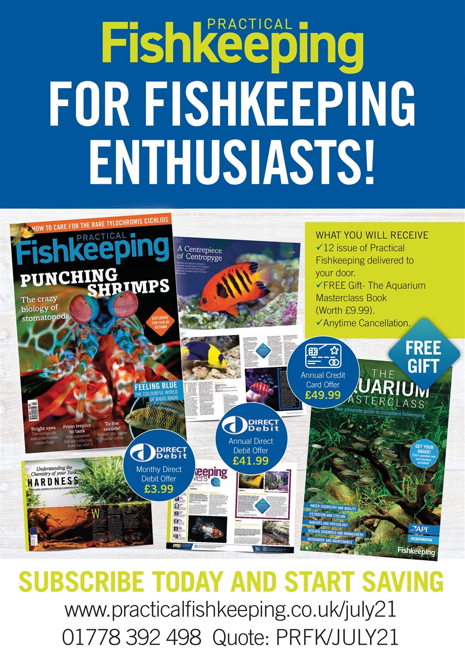 Practical Fishkeeping Preview Pages