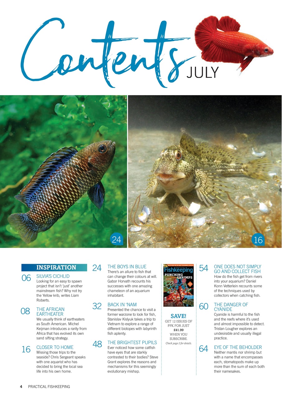 Practical Fishkeeping Preview Pages