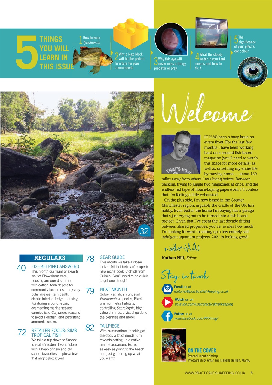 Practical Fishkeeping Preview Pages