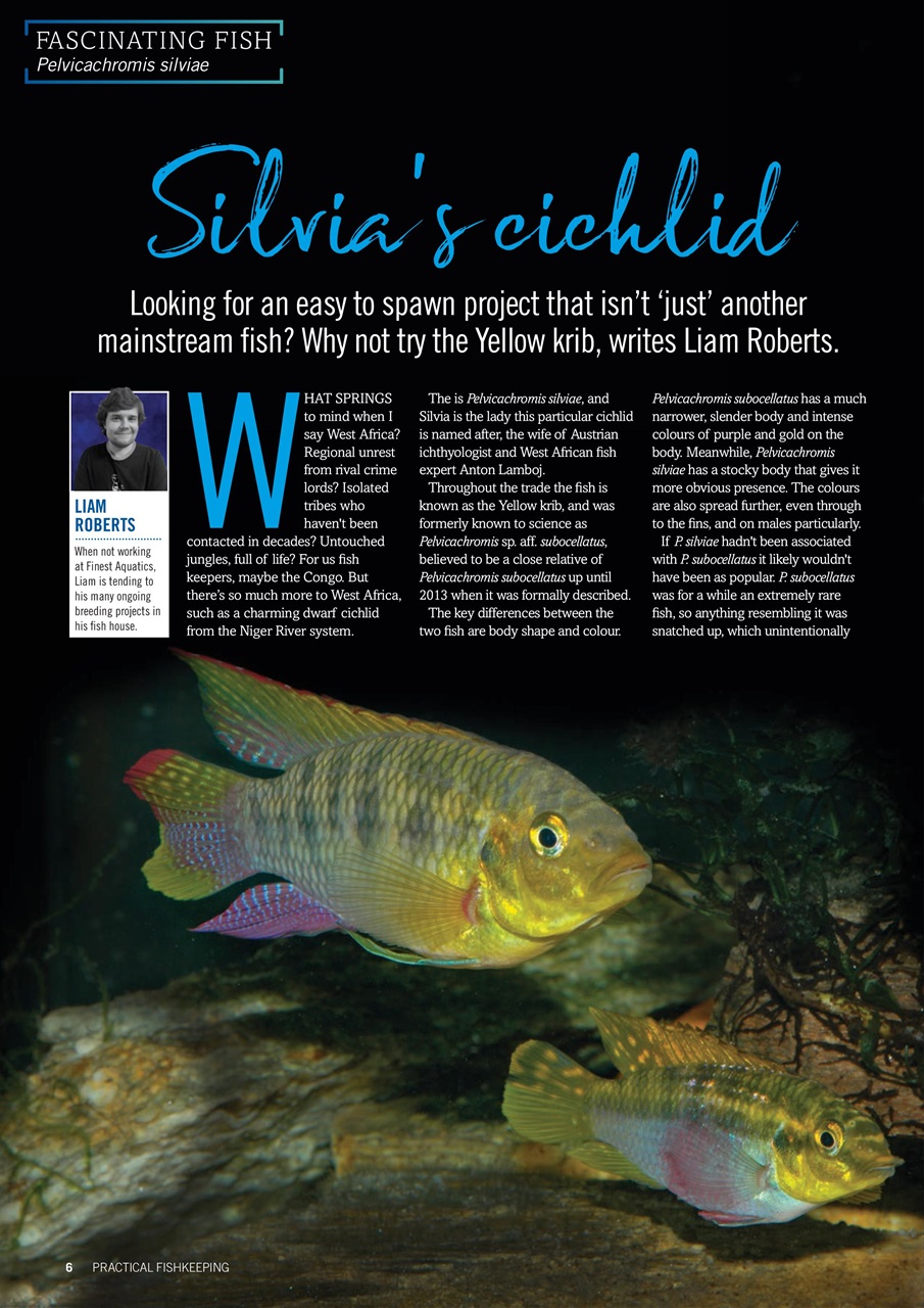 Practical Fishkeeping Preview Pages