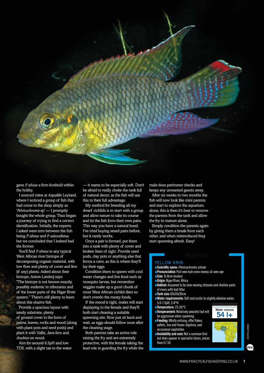 Practical Fishkeeping Preview Pages