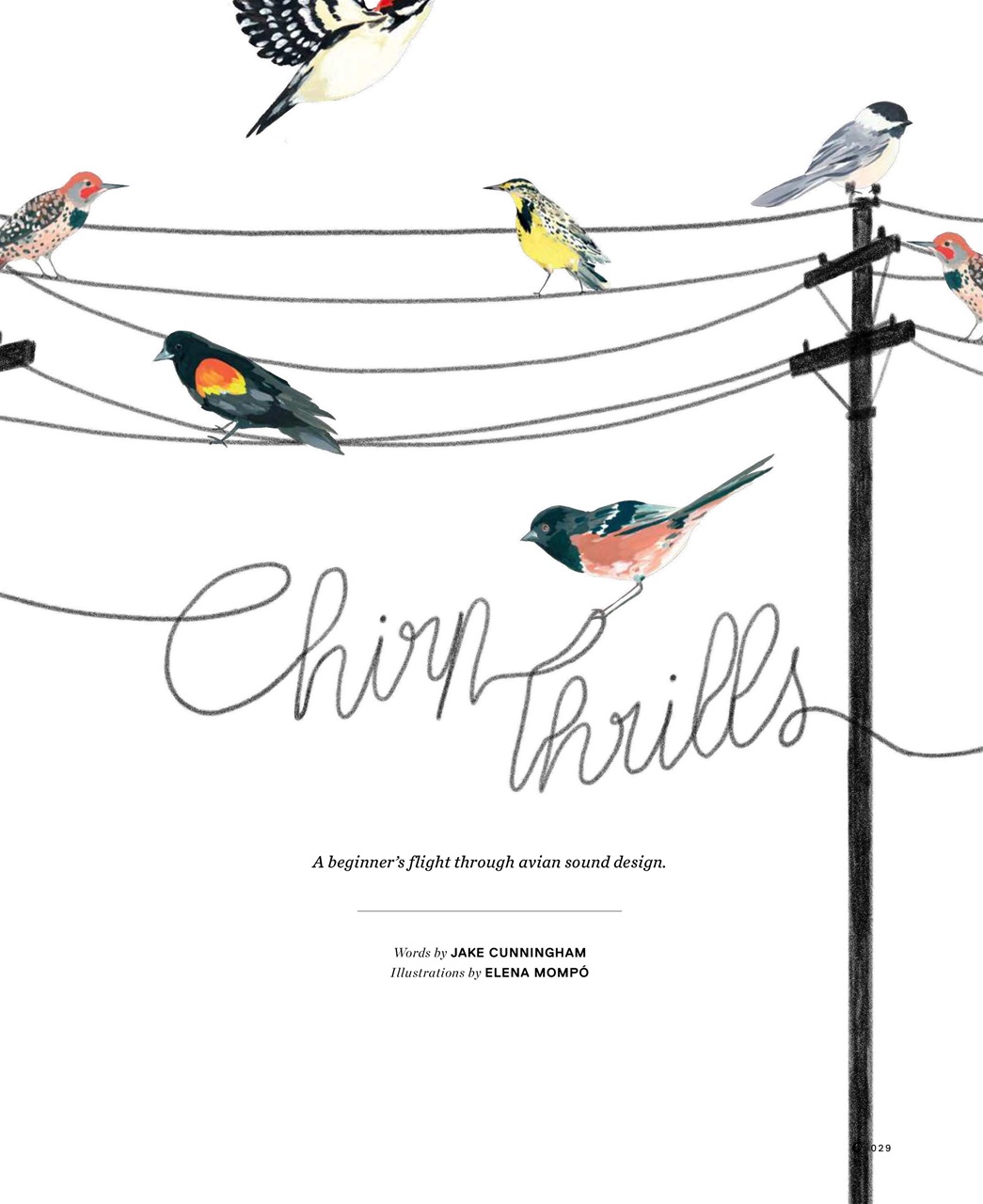 Little White Lies Preview Pages