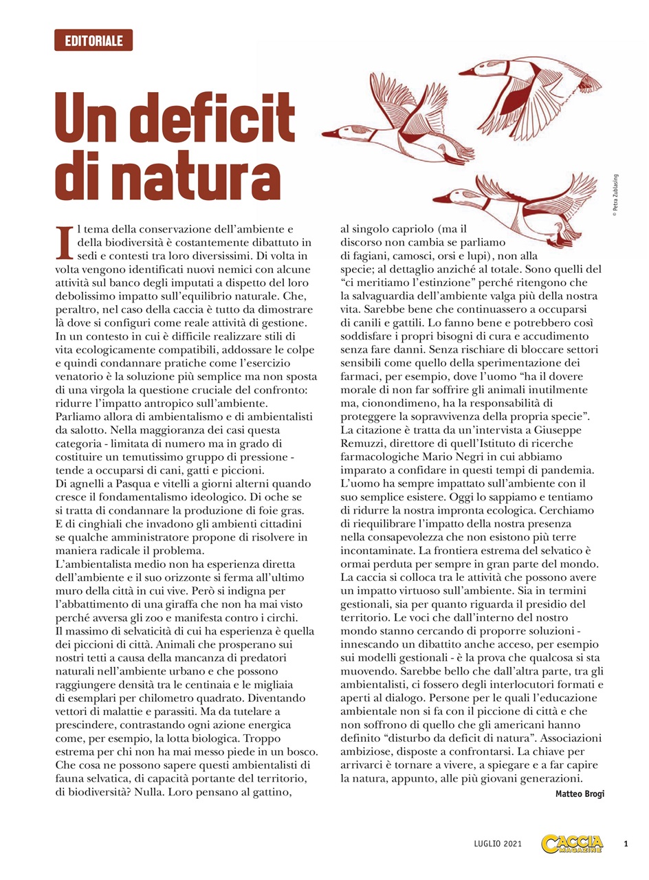 Caccia Magazine Preview Pages