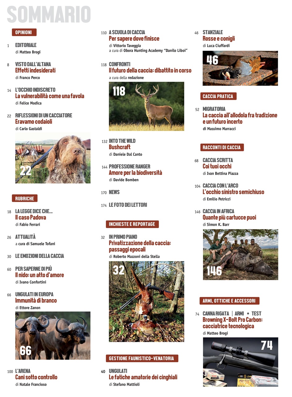 Caccia Magazine Preview Pages