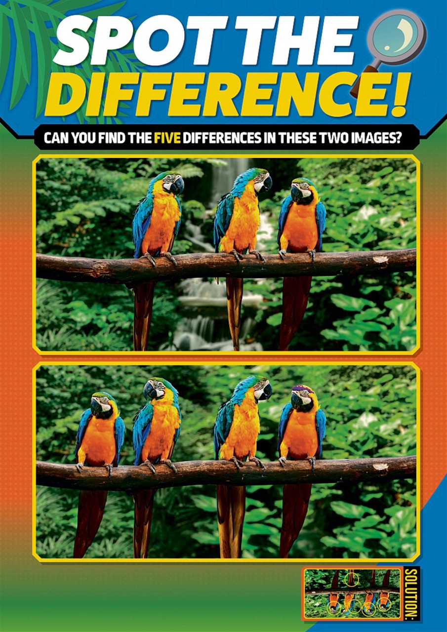 Animal Planet Kids Preview Pages