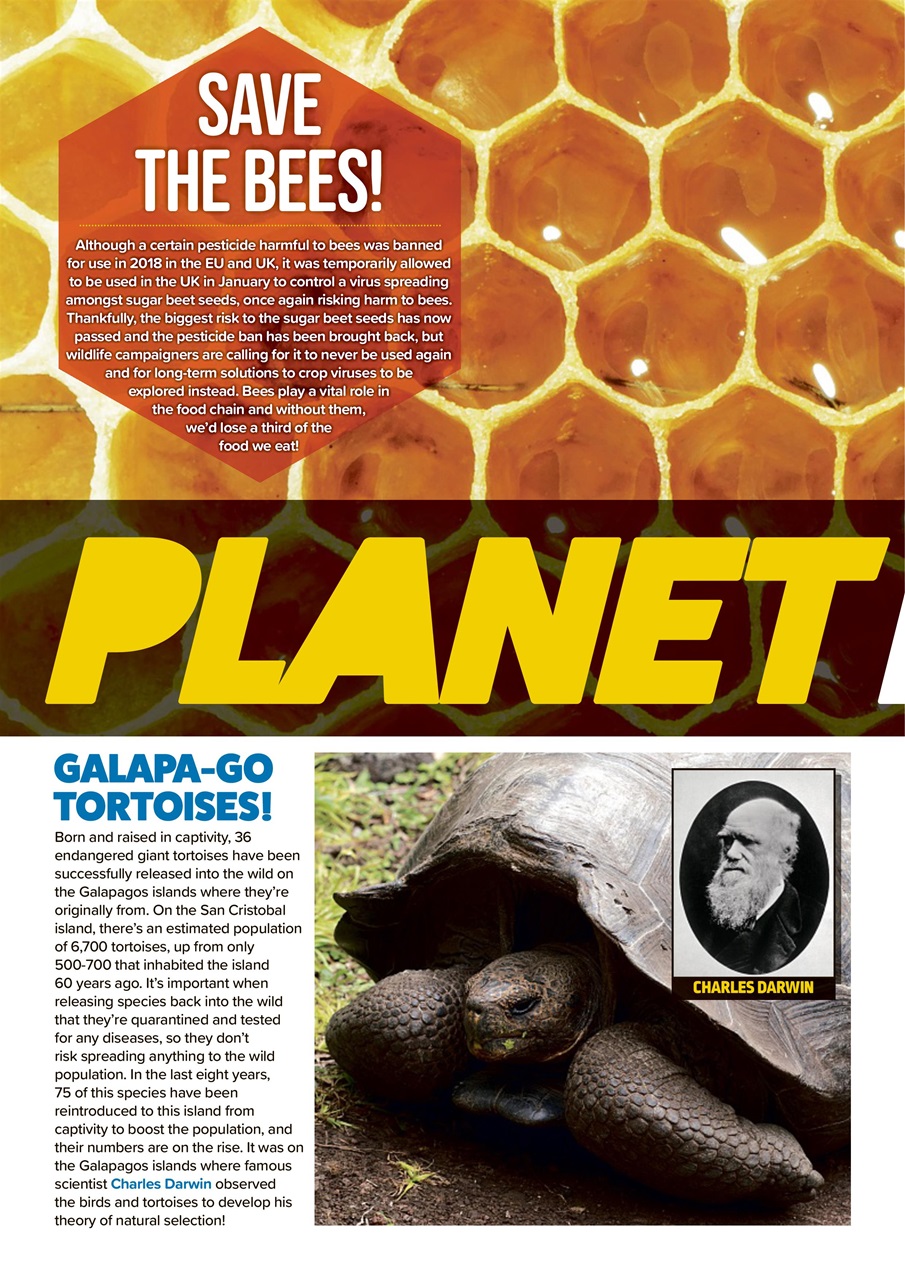 Animal Planet Kids Preview Pages