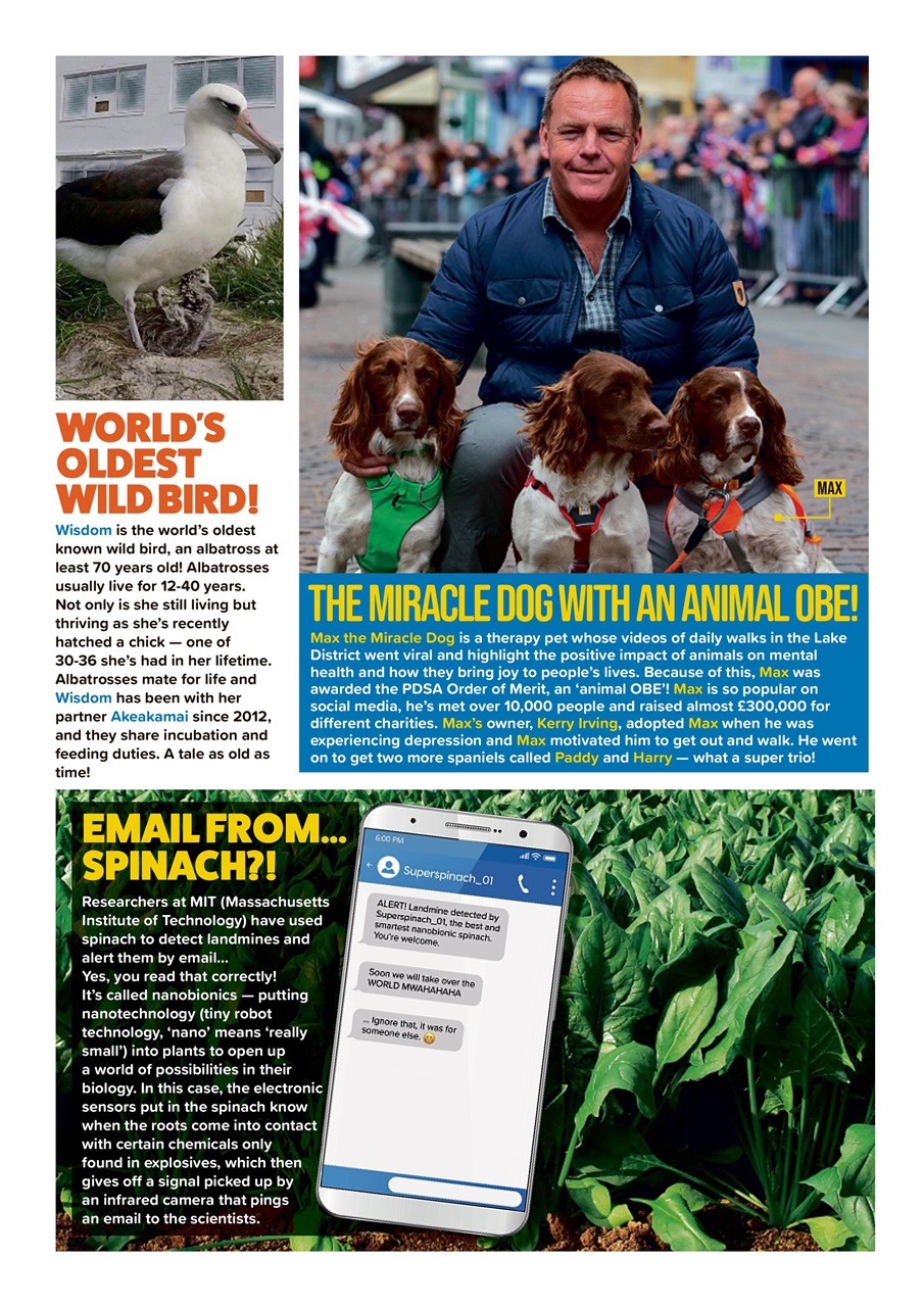 Animal Planet Kids Preview Pages