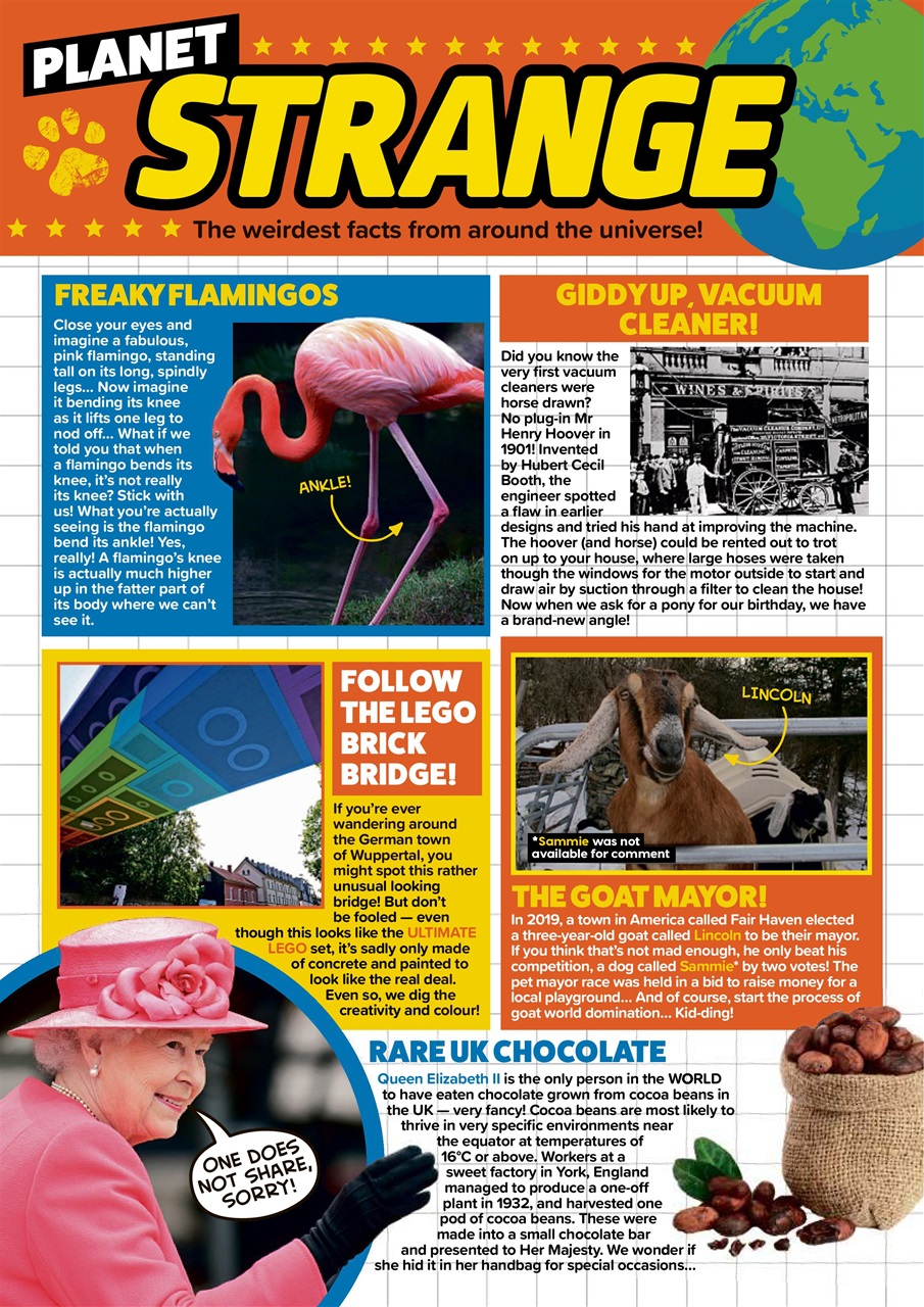 Animal Planet Kids Preview Pages