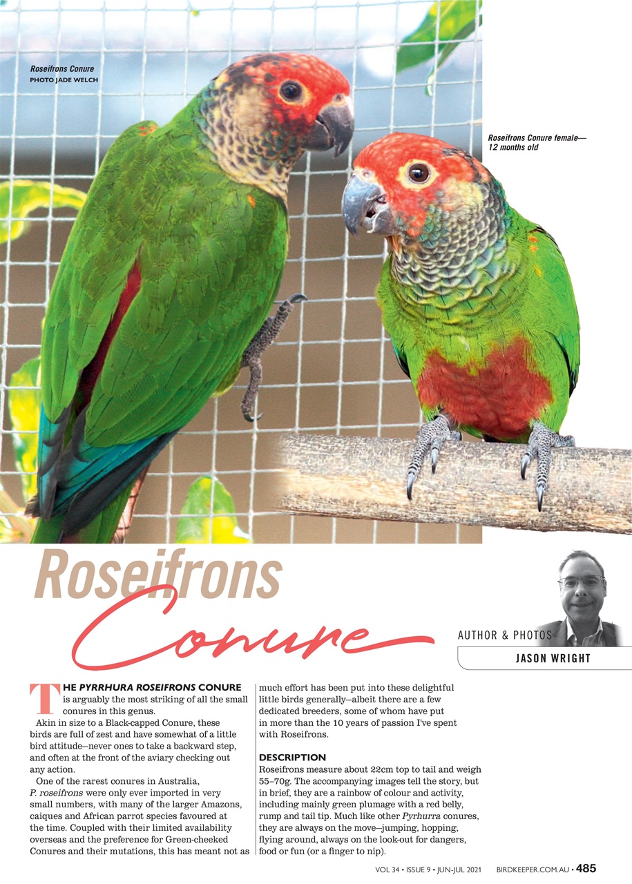 Australian Birdkeeper Magazine Preview Pages