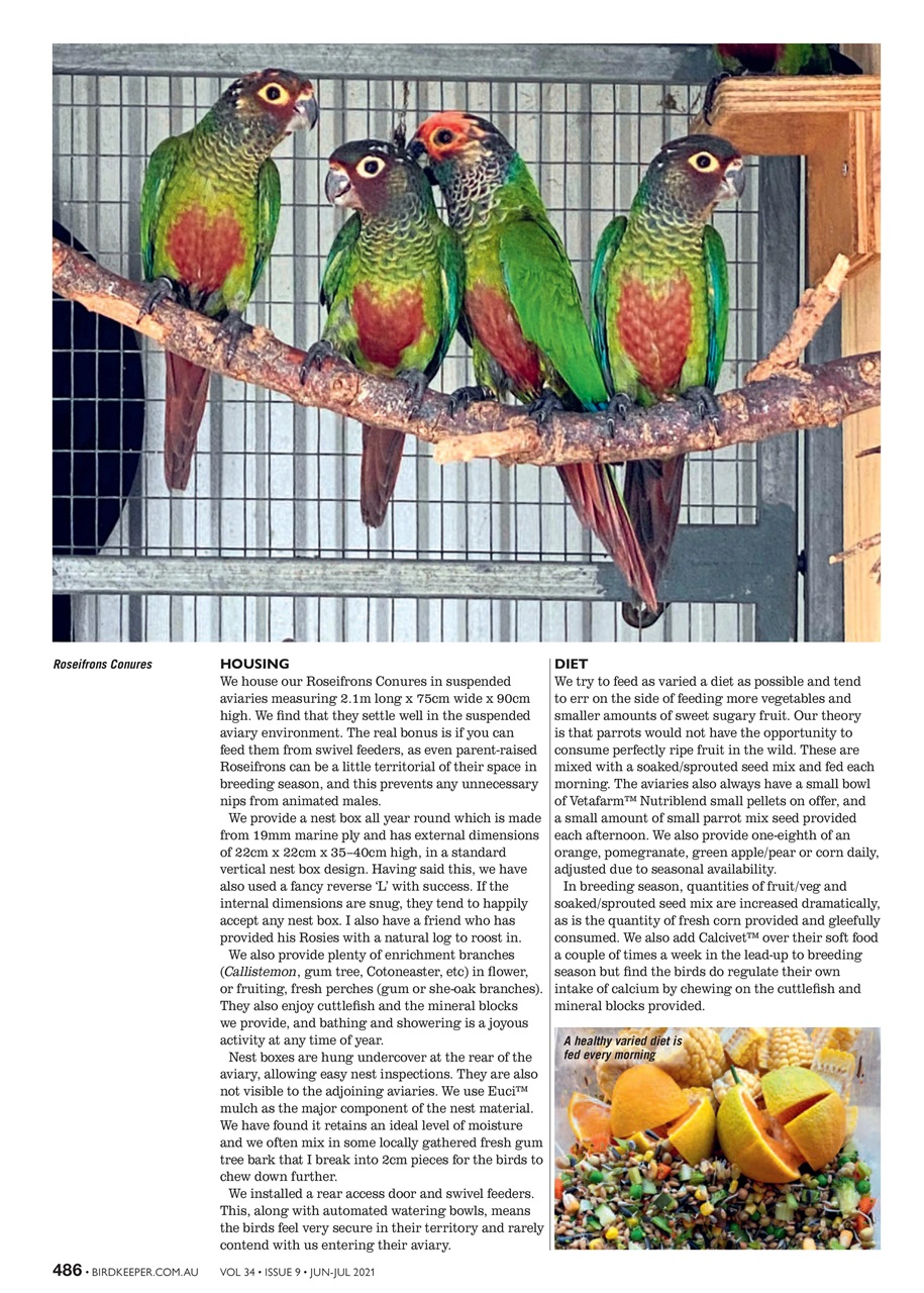 Australian Birdkeeper Magazine Preview Pages