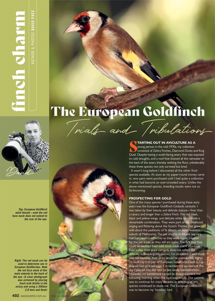 Australian Birdkeeper Magazine Preview Pages