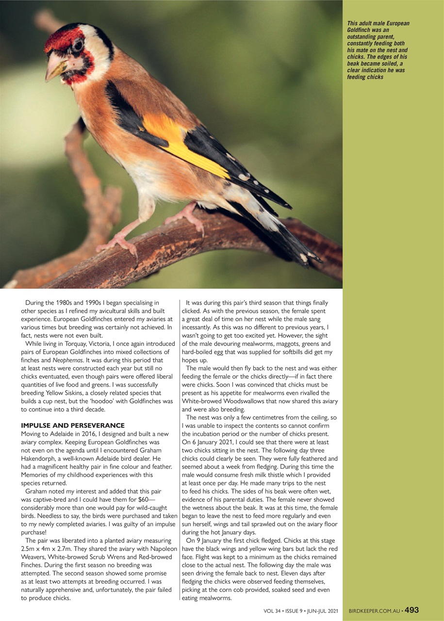 Australian Birdkeeper Magazine Preview Pages