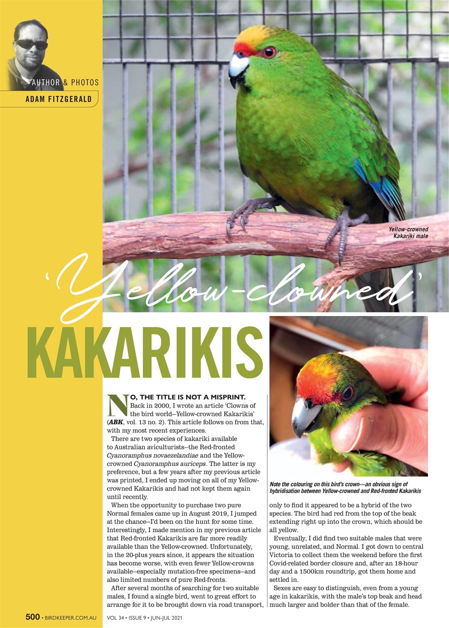 Australian Birdkeeper Magazine Preview Pages