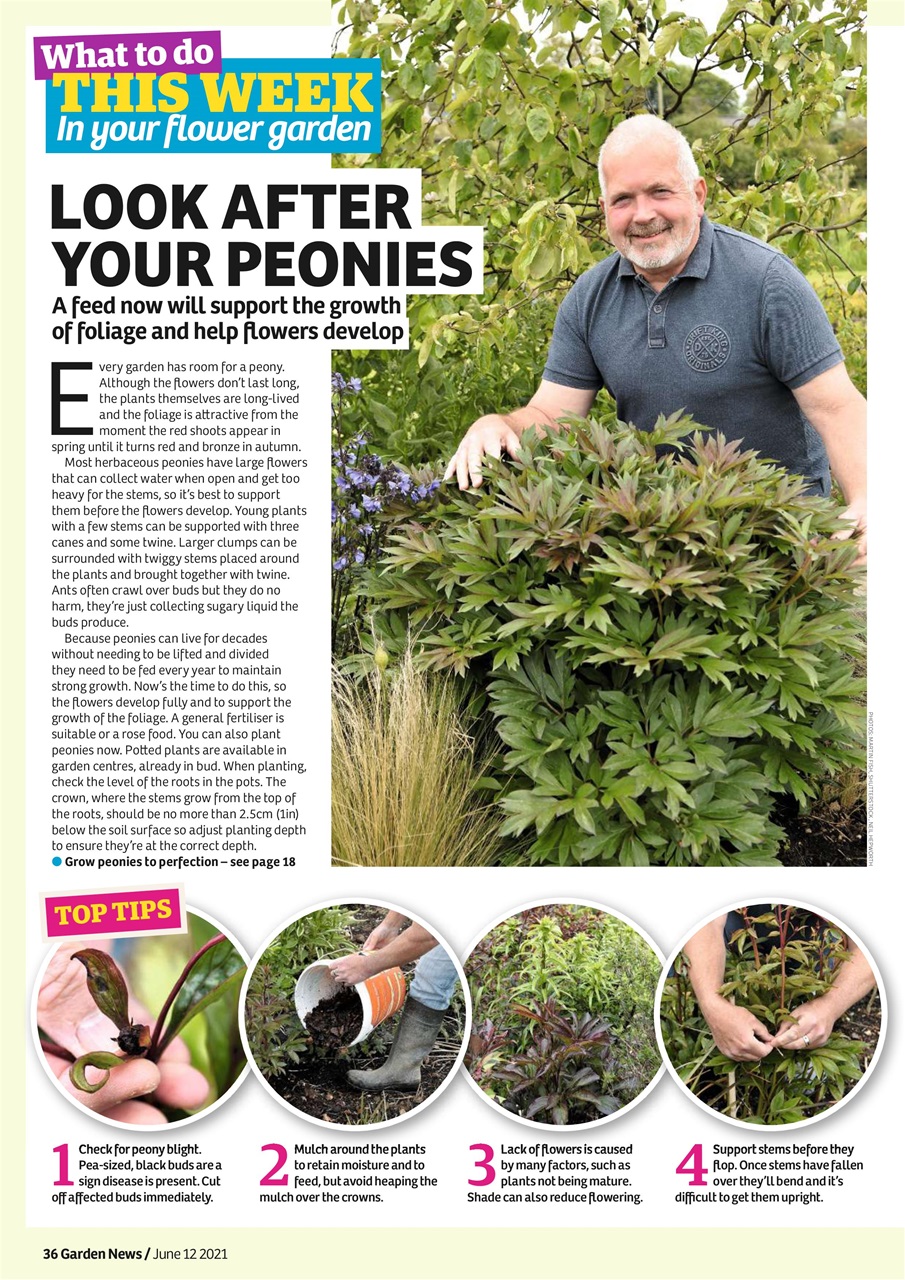 Garden News Preview Pages