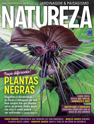 Natureza issue Natureza 401