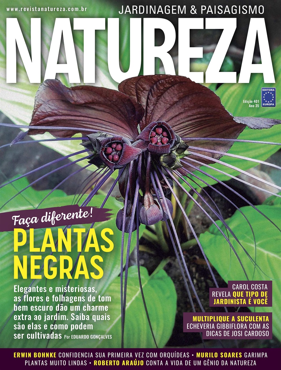 Natureza Preview Pages