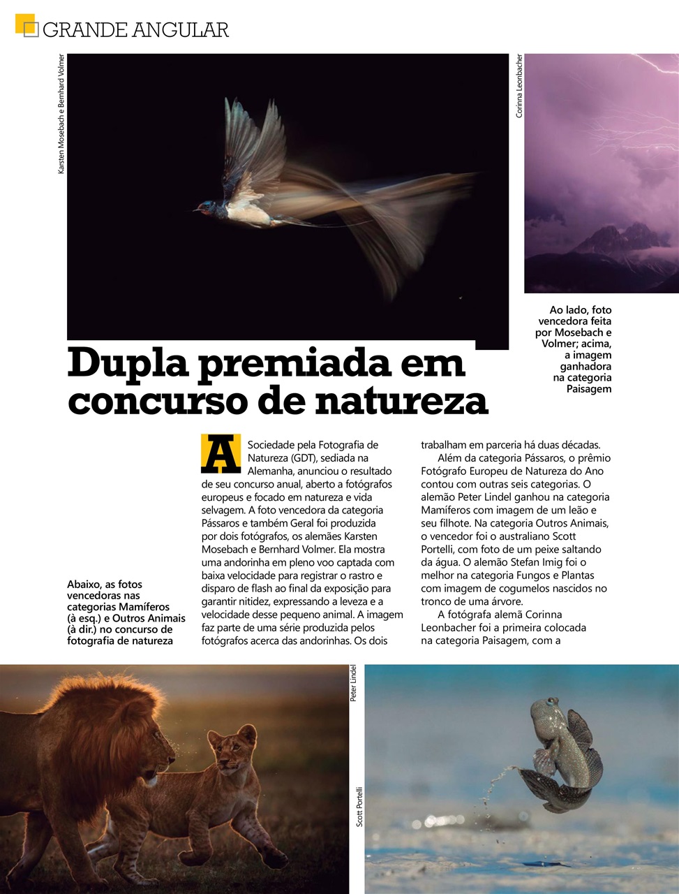 Fotografe Preview Pages