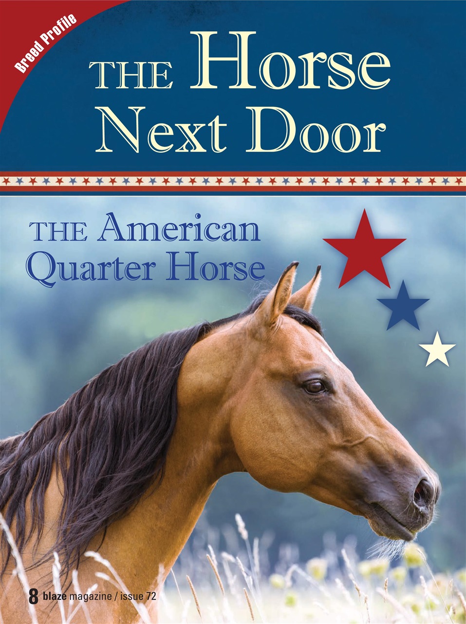 Blaze Magazine For Horse Crazy Kids Preview Pages