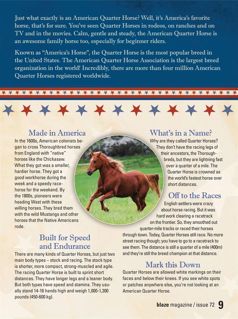 Blaze Magazine For Horse Crazy Kids Preview Pages