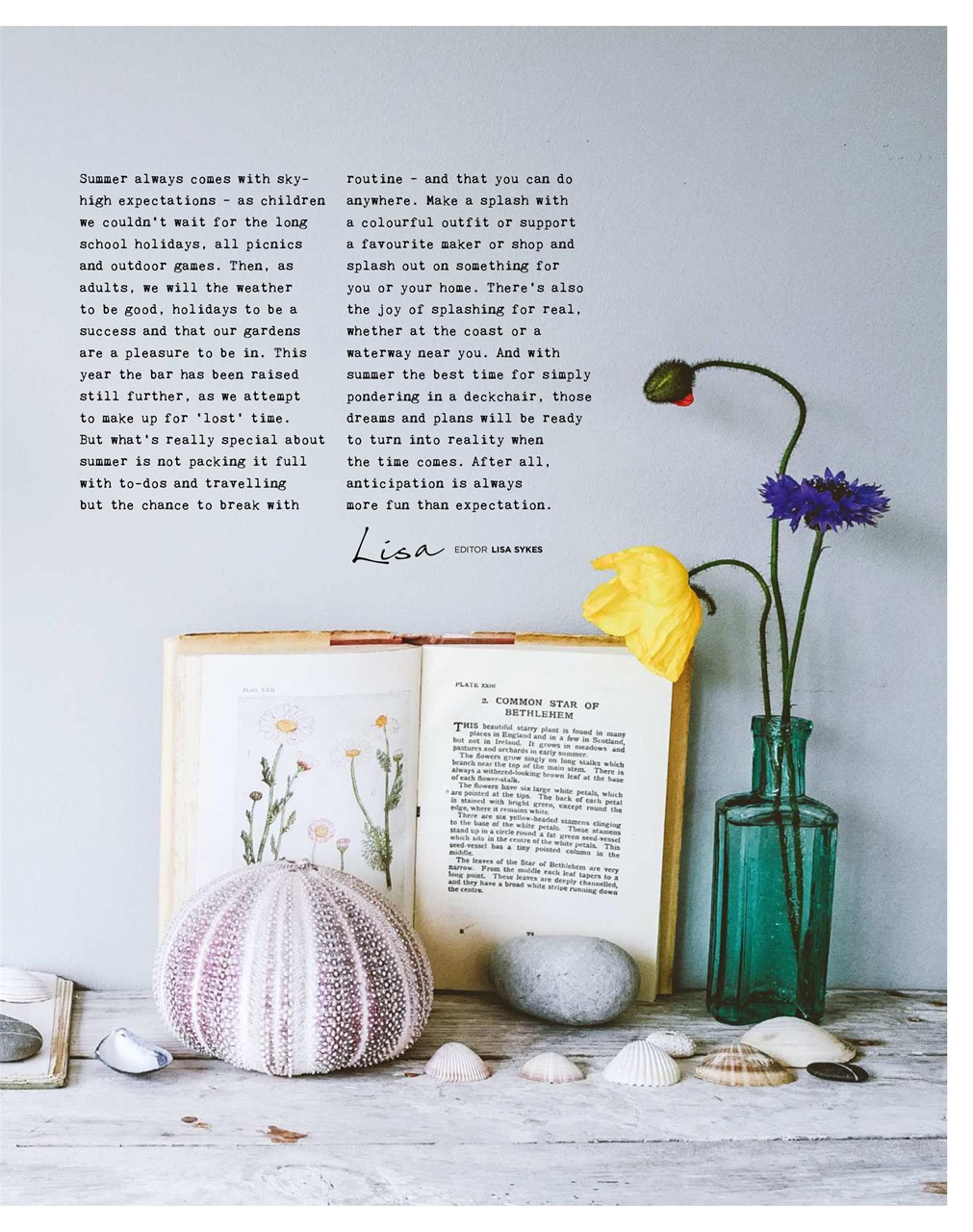The Simple Things Preview Pages
