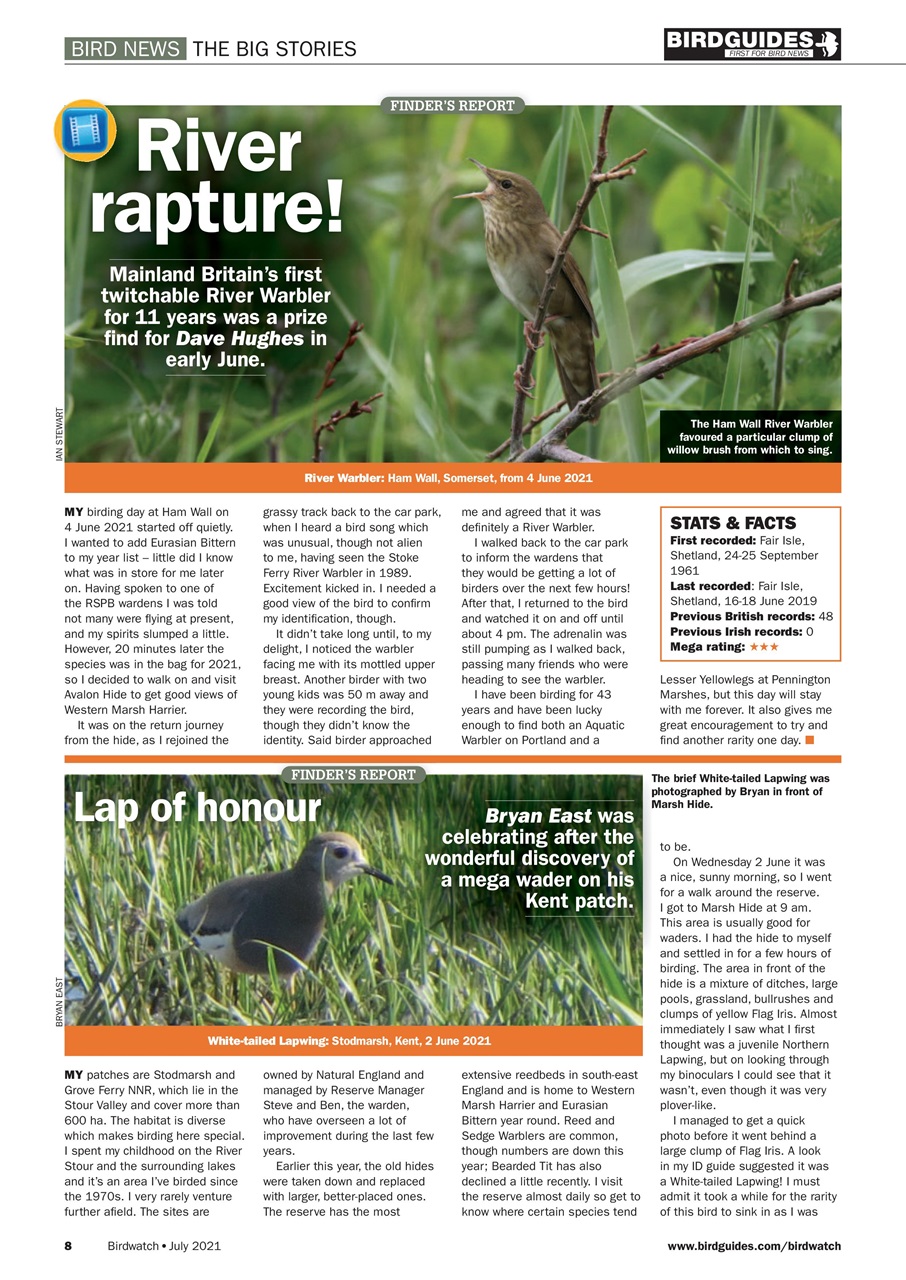 Birdwatch Magazine Preview Pages
