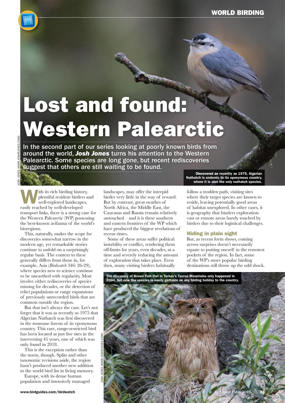 Birdwatch Magazine Preview Pages
