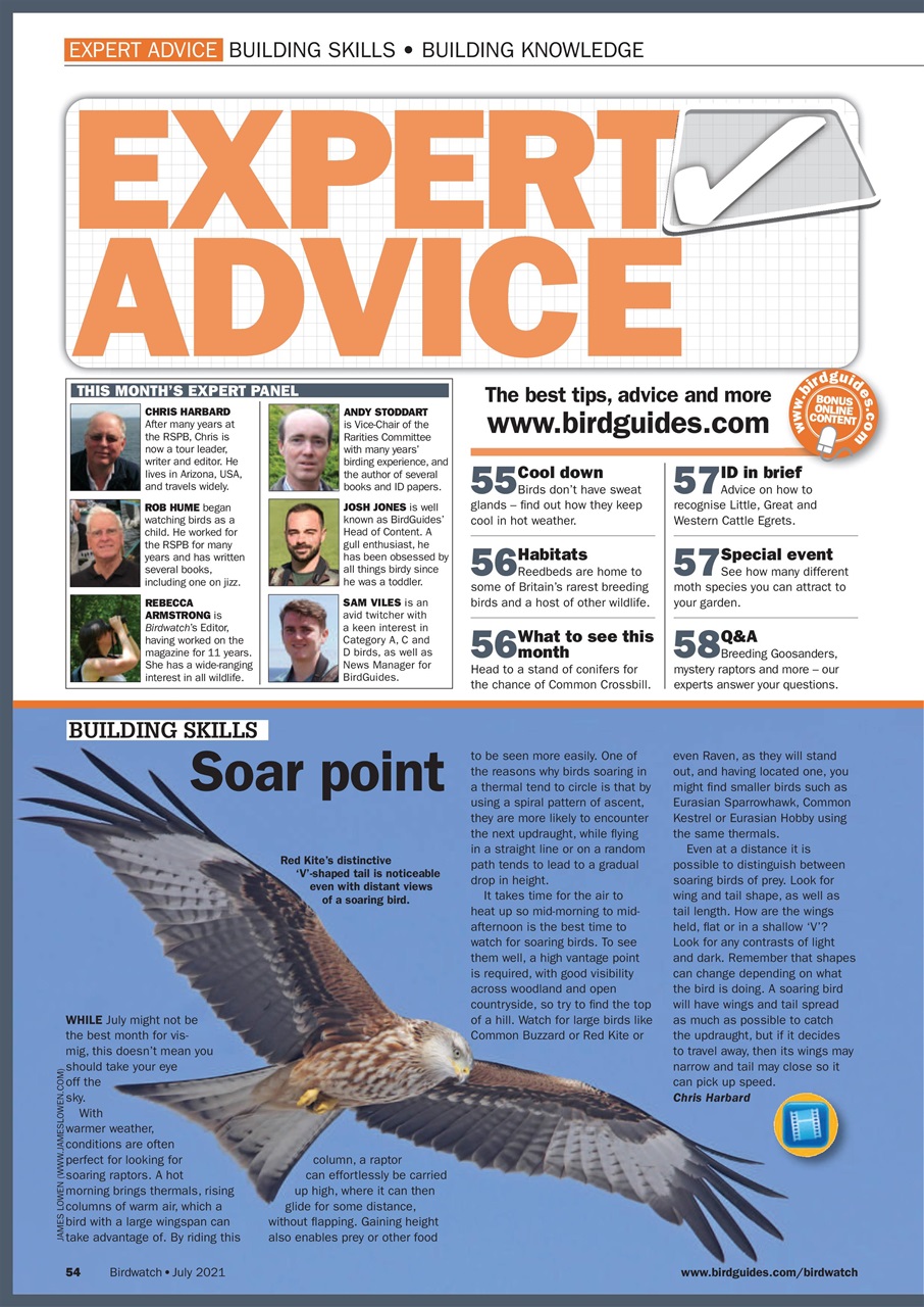 Birdwatch Magazine Preview Pages