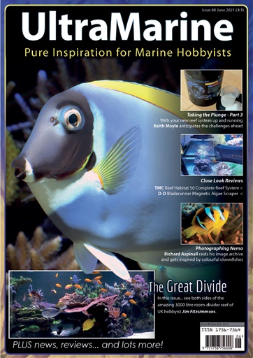 UltraMarine Magazine issue 