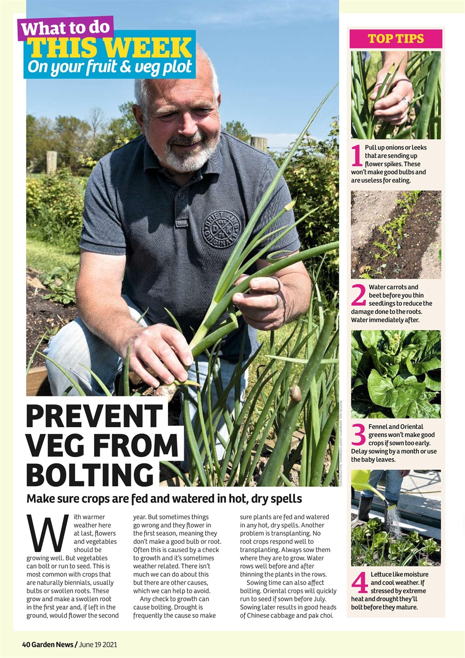 Garden News Preview Pages