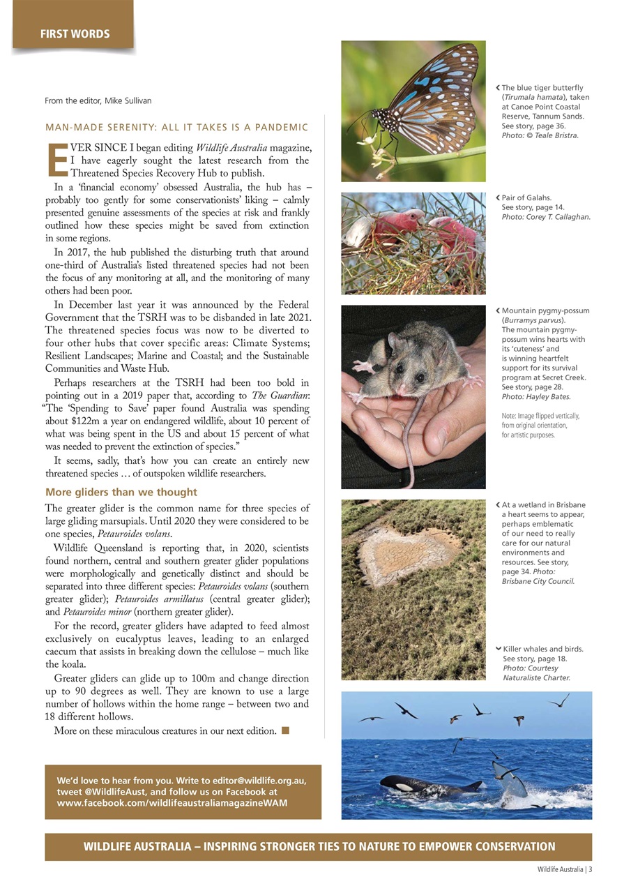 Wildlife Australia Preview Pages
