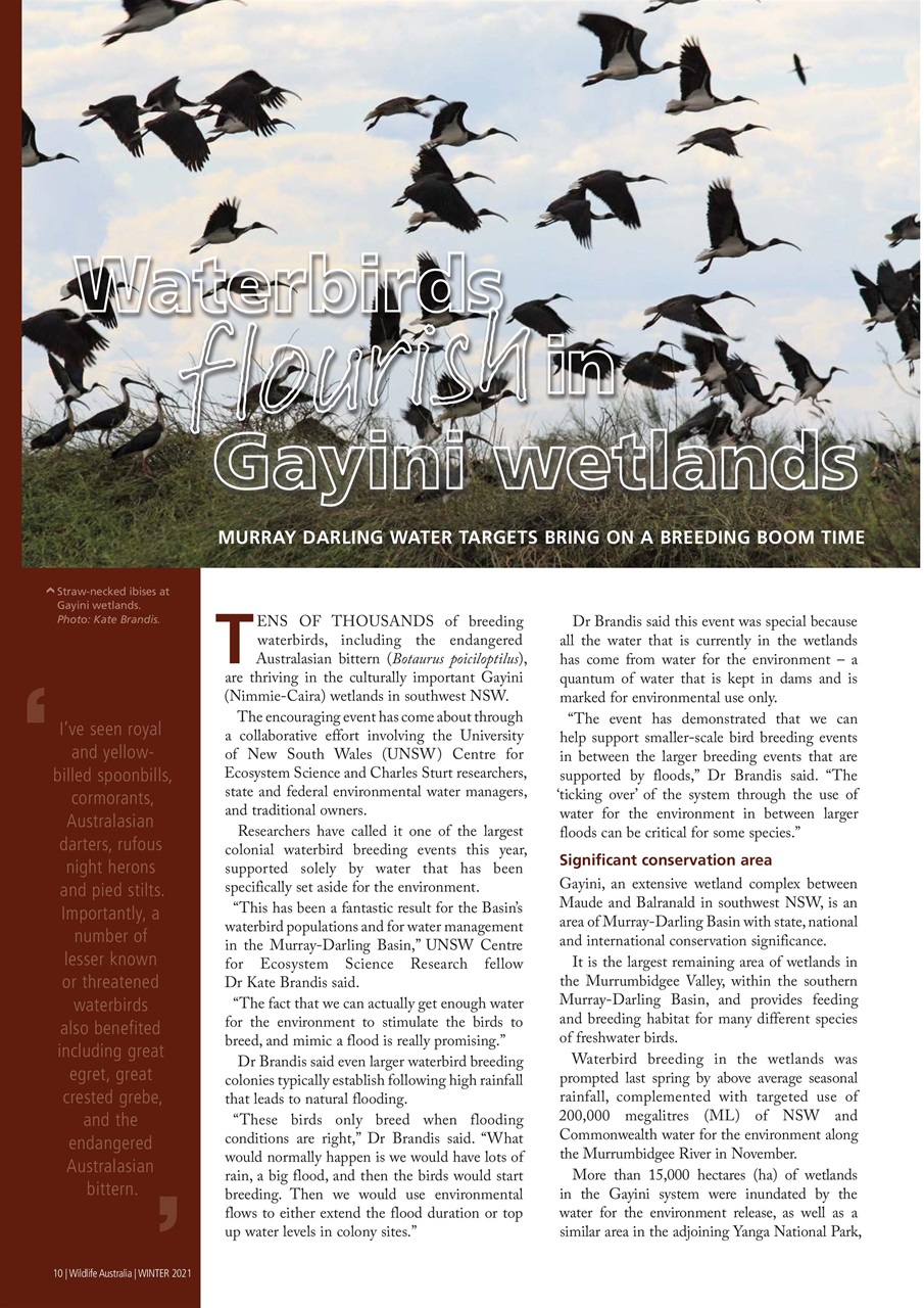 Wildlife Australia Preview Pages