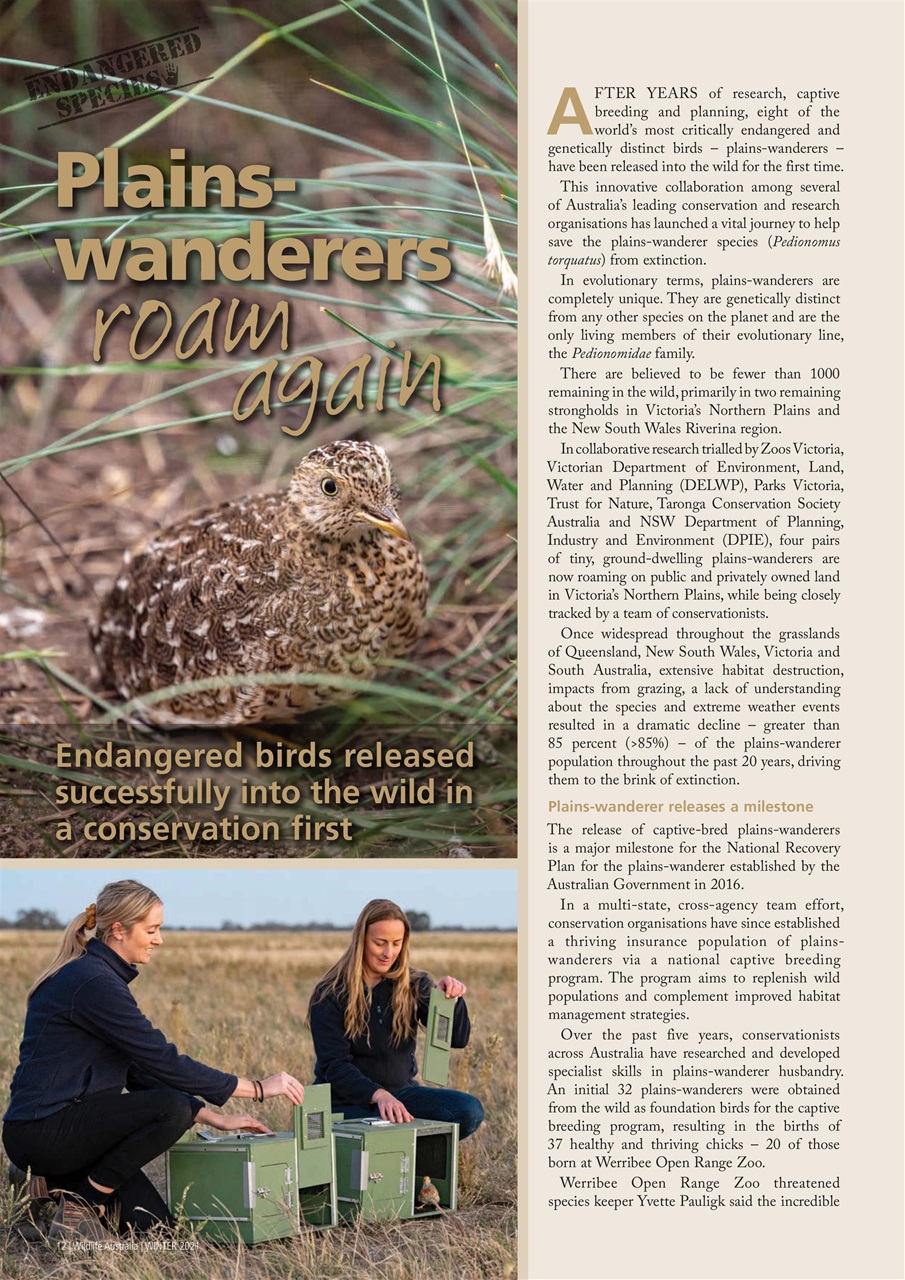 Wildlife Australia Preview Pages